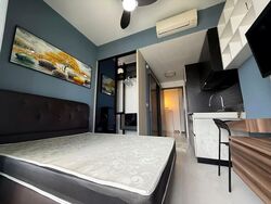 The Rise @ Oxley (D9), Condominium #585509791